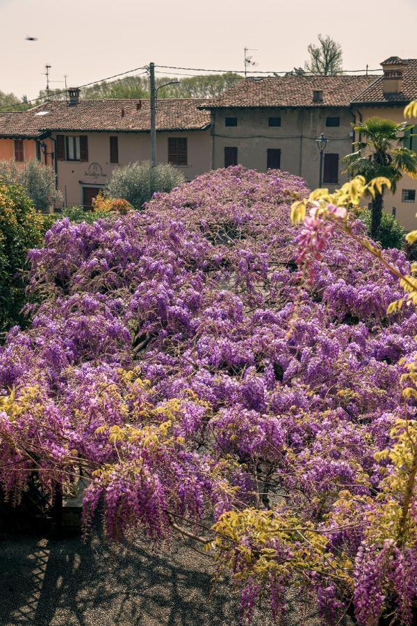 Il Glicine B&B Ristorante Cazzago San Martino ภายนอก รูปภาพ