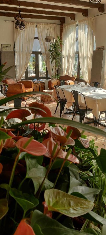 Il Glicine B&B Ristorante Cazzago San Martino ภายนอก รูปภาพ